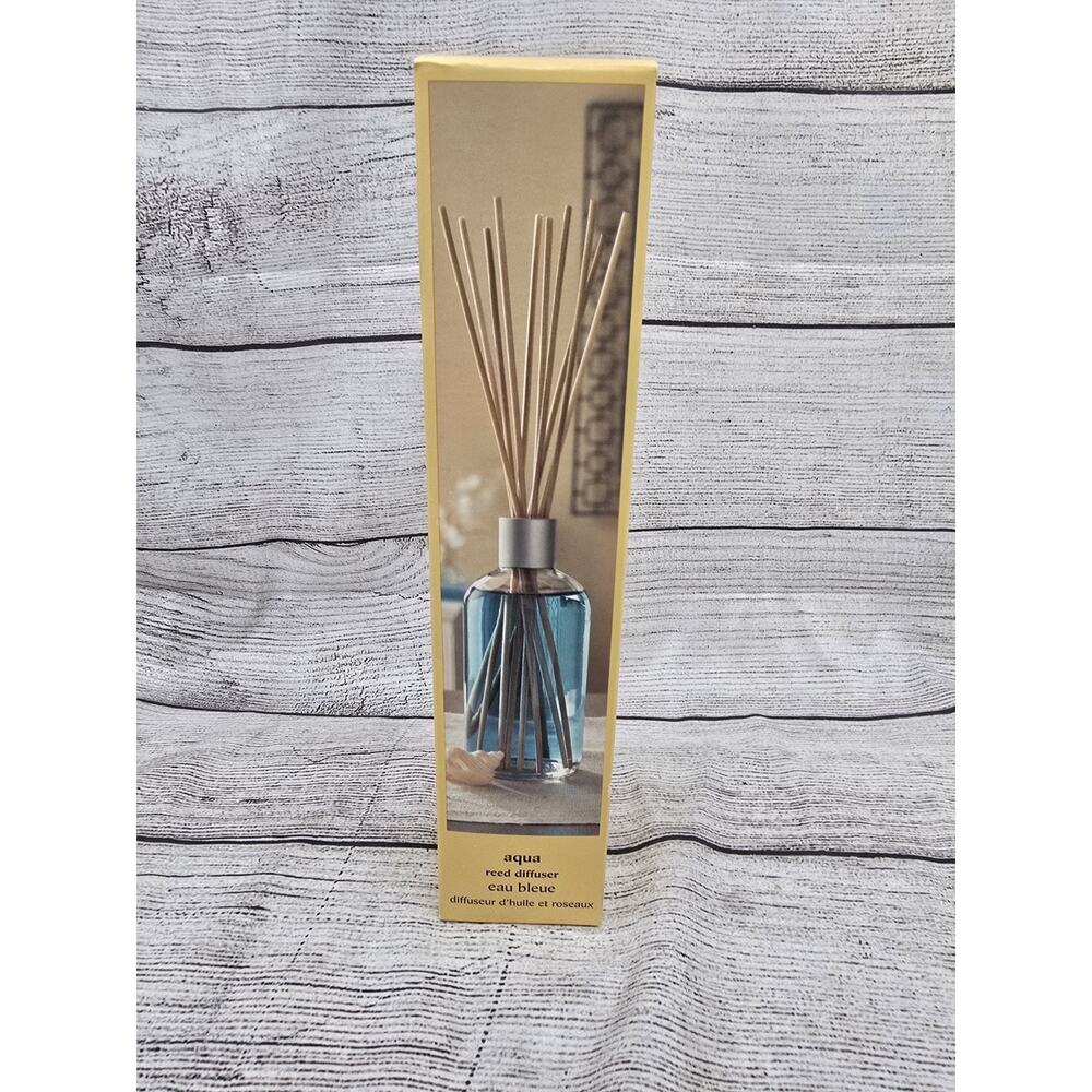 PIER 1 IMPORTS Reed Diffuser Set Full Size AQUA Discontinued